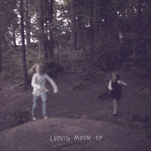 cover
ludvig moon ep